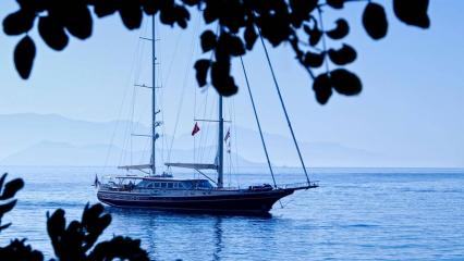 Sailing Yacht Daima